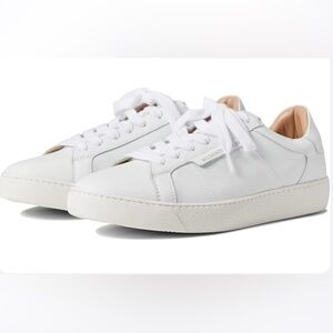 ALL SAINTS - Sheer Sneakers - NEW